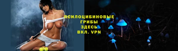гашик Абинск