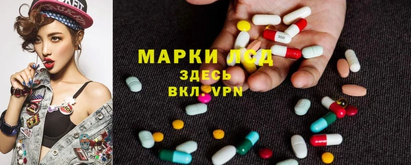 хмурый Алексин