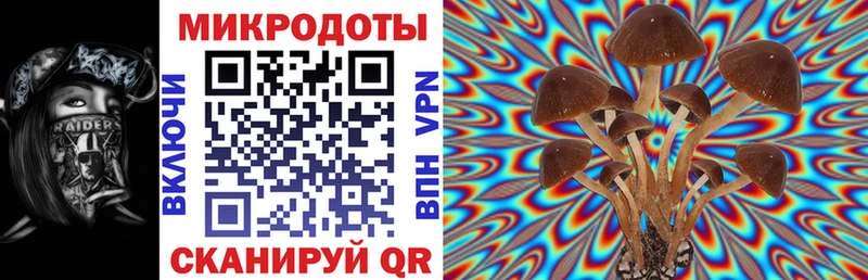 Галлюциногенные грибы мухоморы  гидра ONION  Иваново 