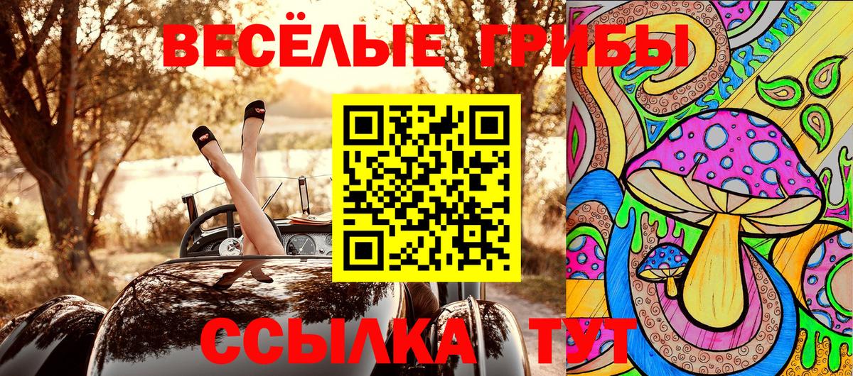 Галлюциногенные грибы Cubensis  Галлюциногенные грибы Magic Shrooms  Вход с VPN  Иваново 