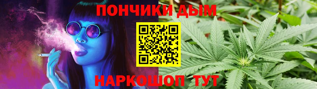Конопля сатива Иваново